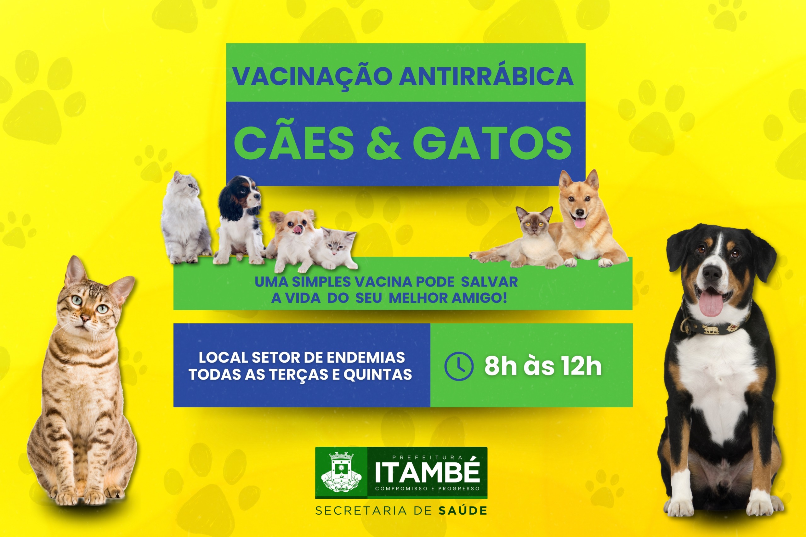 Vacinação antirrábica acontece todas as terças e quintas no Setor de Endemias