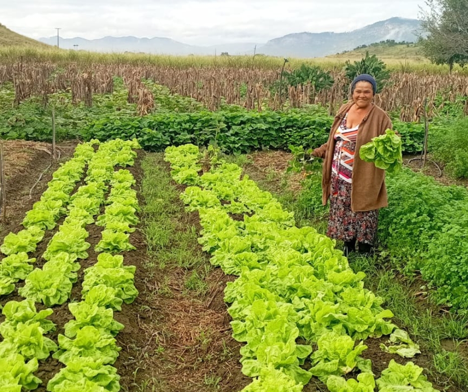 Com apoio da Prefeitura, agricultores familiares de Itambé abastecem Santa Casa via PAA